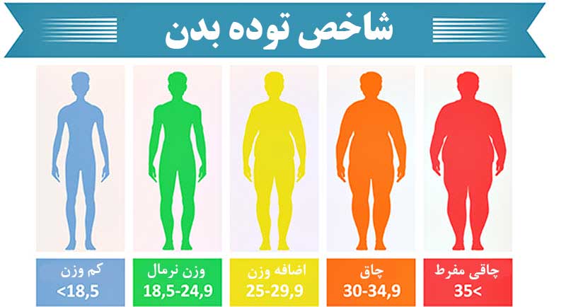 شاخص توده بندی